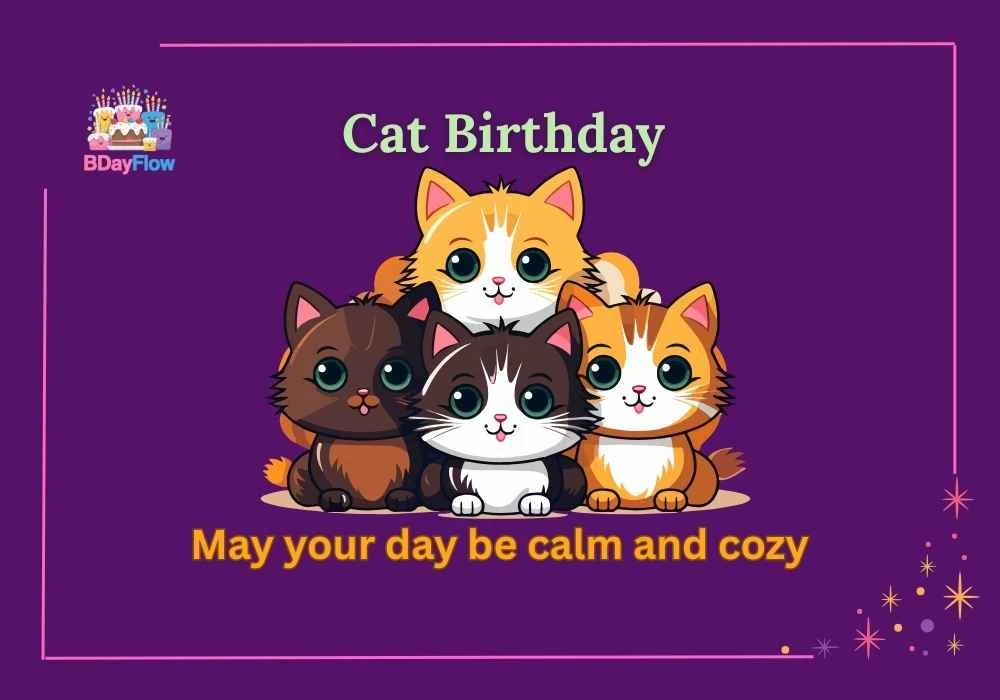 Cat Birthday