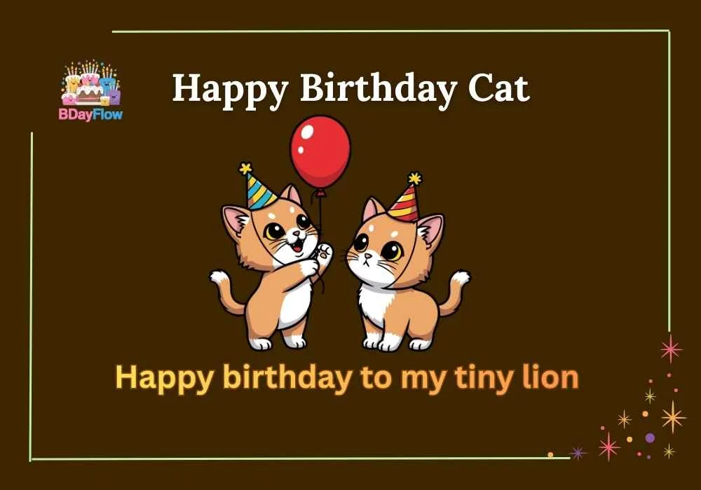 Happy Birthday Cat